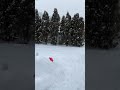 3 Snowflakes Falling