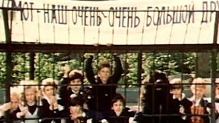 Песенка про бегемота - песня из к/ф Дом с привидениями (1987)