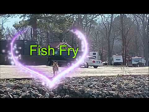 Another day at the Grind #shanty 