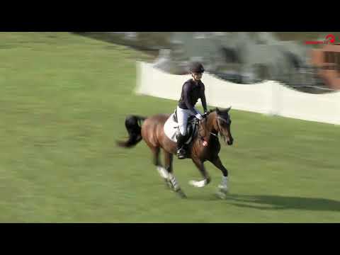 Springdelight - Bundeschampioness VS-Ponys 2017