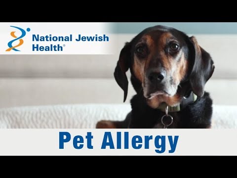 What Are Pet Allergies and How Do You Live with Them?