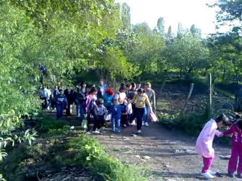 radimna kumaceanie 4