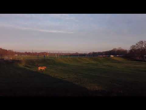 Splitsing zuidereinde s’Graveland - Emmaweg Kortenhoef
