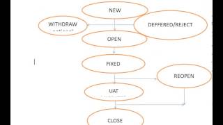 Bug Life Cycle