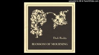 Dark Reality -  Sint Lumbi Vestri