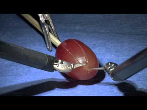 Cirurgia Robótica em Uva .m4v