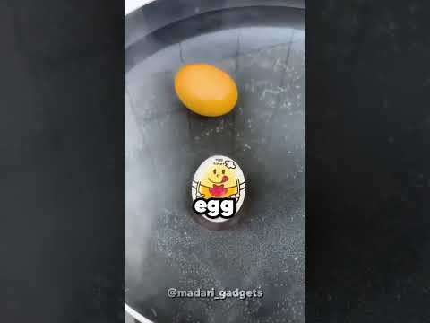 Is this egg fake?