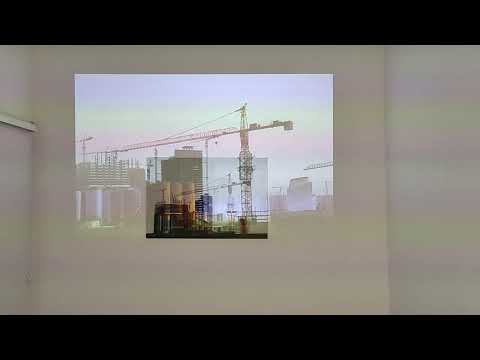 Extinction  o2 (video projection on oil painting)