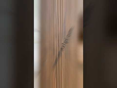 High Pressure Laminate Sheet