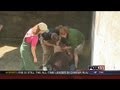 GDW7 Elk Dies During Procedure At NEW Zoo