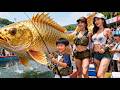 Reincarnated Fishing Prodigy Hooks A Mermaid Beauty With One Cast Drama
