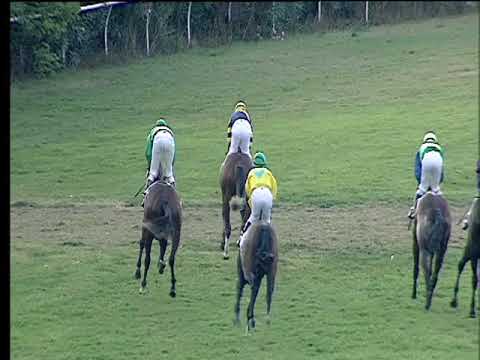 Galoppo 30/08/2017 - 4ª corsa