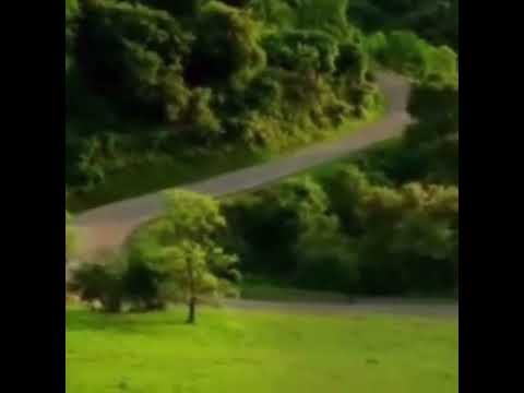 Scary car comercial but there is no jumpscare