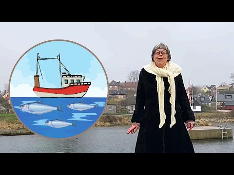 Julhistorier från Österlen – lucka 5: Havet, fisket och hamnarna