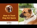 How to Care for Your Dog’s Painful Inflamed Skin Sores…