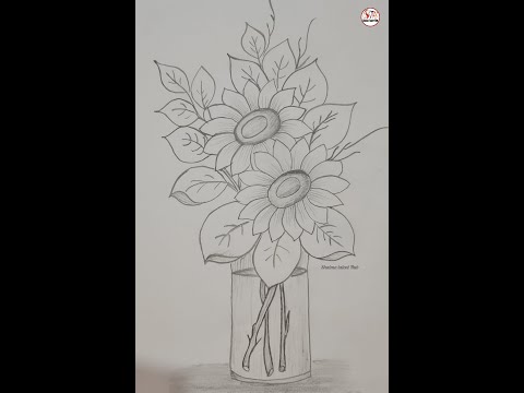 Flower drawing with pencil || shaima talent Hub || Sketch drawing || #Shorts