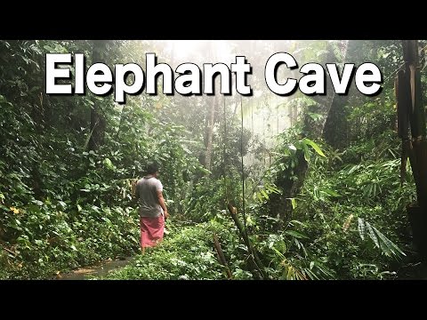 Indonesien #035: Elephant Cave | Dschungel | Ubud, Bali