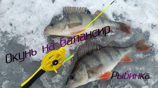 С какого числа открывается рыбалка на рыбинском водохранилище