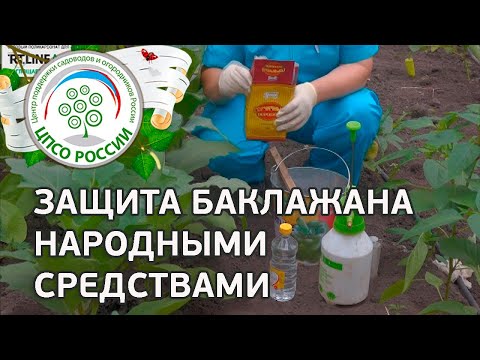 Народные средства от вредителей: настои и отвары