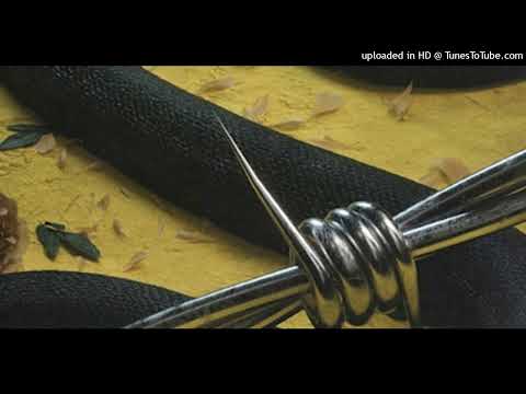 Post Malone Ft. 21 Savage, J Quiles, Miky Woodz, Ozuna Y Nicky Jam - Rockstar (Full Remix)