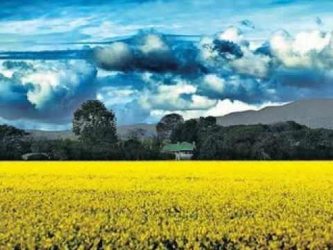 khmer oldies-Veal Soss Kyol-Windless Fields