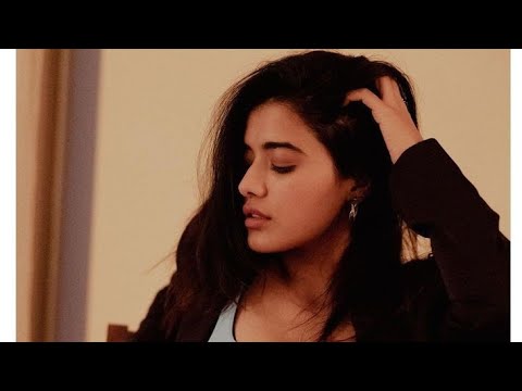 Savyasachi Hindi Dubbed Movie | Naga Chaitanya | Niddhi Agerwal
