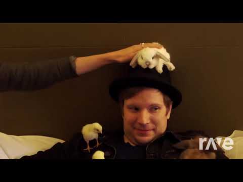 Fall Out Boy & Jonas Brothers - Uma Thurman, Sucker | RaveDj