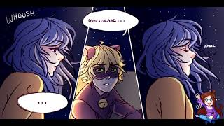 【Miraculous Ladybug Comic Dub】Delicate Part 3