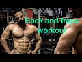 Back and traps workout