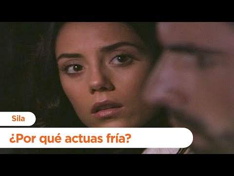 Sila buys the Boran fields - Sila