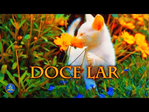 566 – Doce Lar - Hinário Adventista