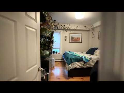 50 Magazine Street - Video 2 of 2