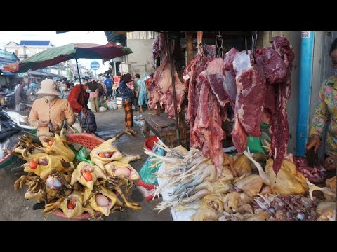 Morning Daily Life Style at Phsa Prek Phnov - Walking Around Prek Phnov Market on Weekend