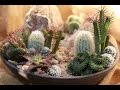 How To Make A Mini High Desert Cactus Garden