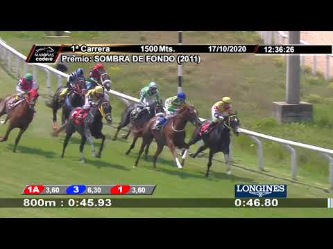 201017 c01 EL FENOMENO