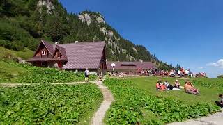 Cabana Malaiesti 2022