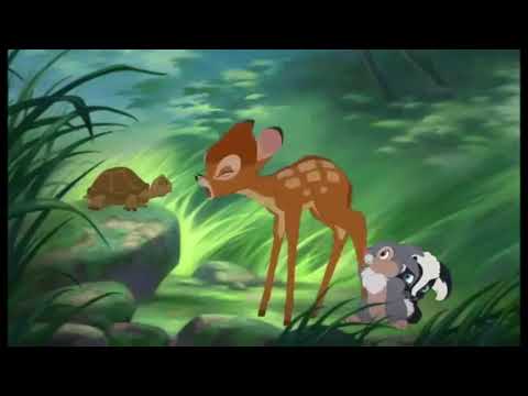The Great Fawn Detective Part 11 - Bambi's Observation