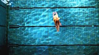 4 Strings - Diving [HQ/1080p]