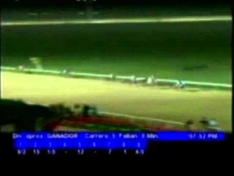 Resumen Jueves, 01 de Diciembre de 2011 - Valencia