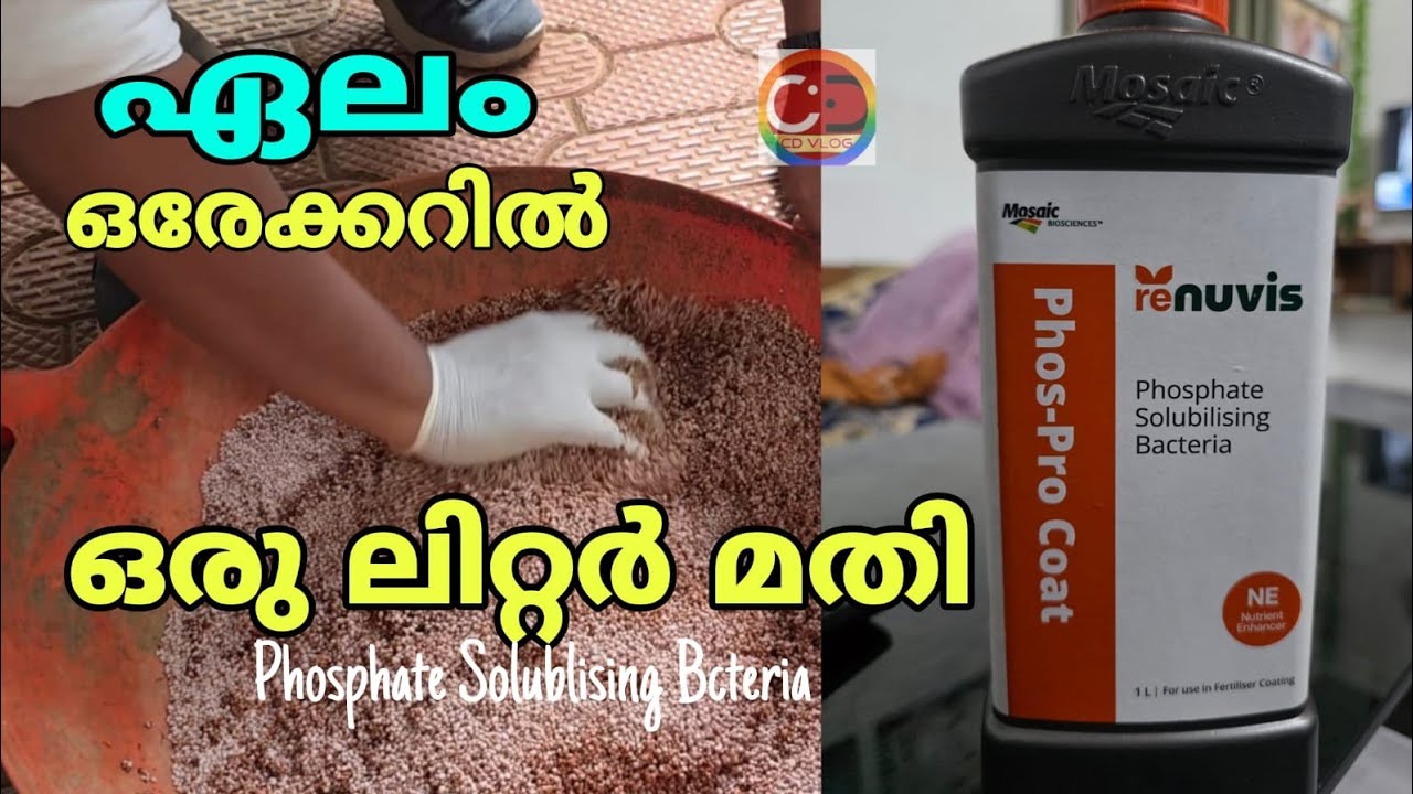 ഏലം I ഇതൊരൽപ്പം മതി I ഒരേക്കർ ഏലത്തിന് I കണ്ടറിയാം അത്‌ഭുതഗുണങ്ങൾ | Cardamom I A little bit of this is enough I For one acre of cardamom I can see the amazing properties