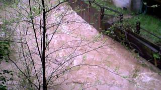 preview picture of video 'San Lorenzo River north of Boulder Creek'