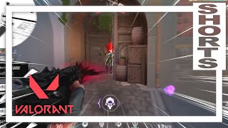 【VALORANT】ダブドアの守護神 -嚙み合えば楽しいパール篇-【#29】
