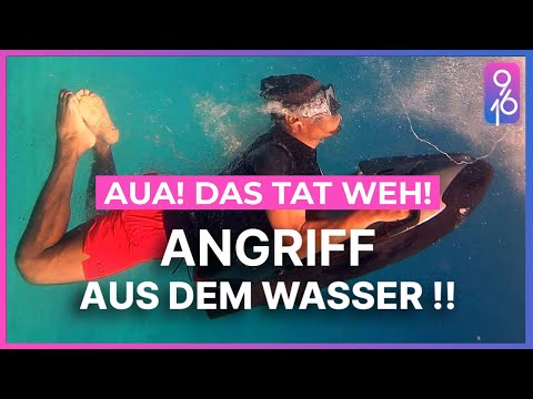 We were attacked! 9:16 House with @nadinebreaty, @theoschaos, @Tobiyou, @lucylacht, and co.