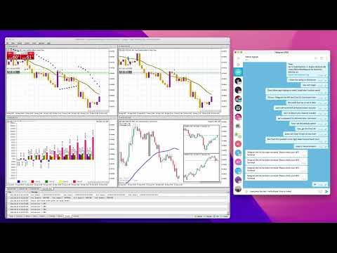 Video Telegram Utility Close Order and Pause other EAs