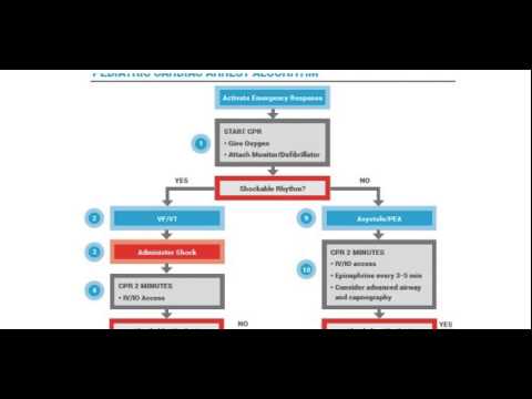 19. PALS - Cardiac Arrest