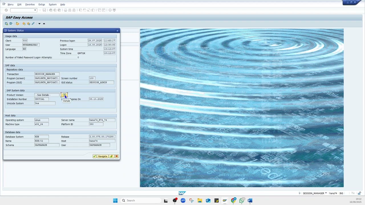 How to Check SAP Version | Step by Step