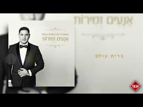 אליאור איצקוביץ׳- ברית עולם | Elior Itzkovitz - Brit Olam | TETA