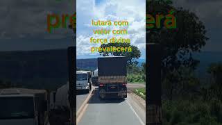 Hino 231 ccb | Provemos irmãos do amor do Senhor | #joaootaviorufino #ccb