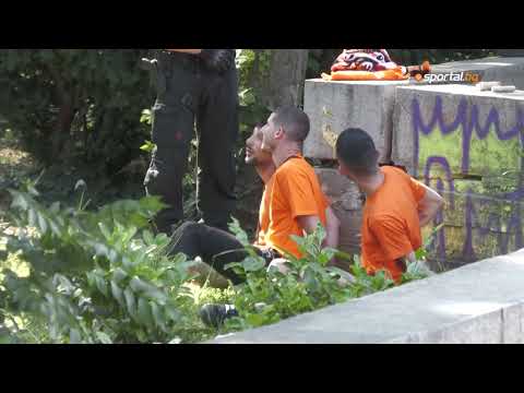 APOEL FC (NICOSIA) Hooligans ARRESTED in Bulgaria before game with BOTEV PLOVDIV (BULGARIA)