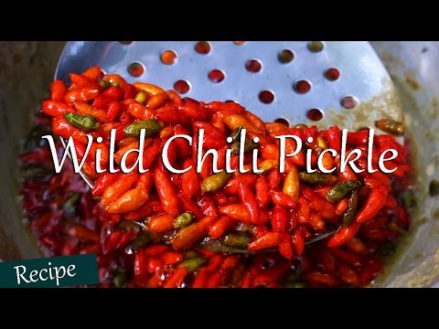 download lagu mp3 mp4 Wild Rice Chili, download lagu Wild Rice Chili gratis, unduh video klip Wild Rice Chili